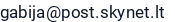 El. paštas