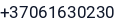 Telefonas