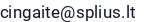El. paštas