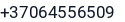 Telefonas