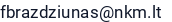El. paštas