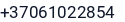 Telefonas
