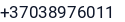 Telefonas