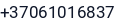 Telefonas