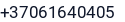 Telefonas