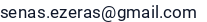 El. paštas