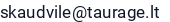 El. paštas