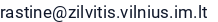 El. paštas