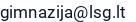 El. paštas