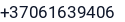Telefonas