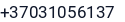 Telefonas
