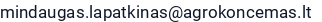 El. paštas