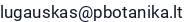El. paštas