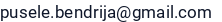 El. paštas