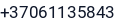 Telefonas