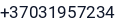Telefonas
