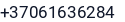 Telefonas