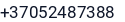 Telefonas