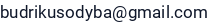 El. paštas