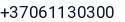 Telefonas