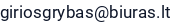 El. paštas