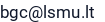 El. paštas