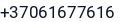 Telefonas