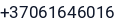 Telefonas
