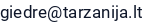 El. paštas