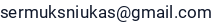 El. paštas