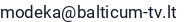 El. paštas