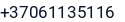 Telefonas