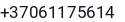 Telefonas