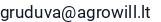 El. paštas