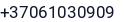 Telefonas