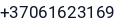 Telefonas