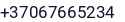 Telefonas
