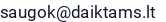 El. paštas
