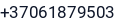 Telefonas