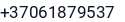 Telefonas