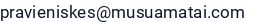 El. paštas