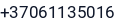 Telefonas