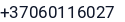 Telefonas