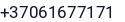 Telefonas