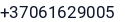 Telefonas