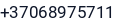 Telefonas