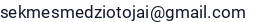 El. paštas