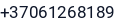 Telefonas