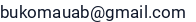 El. paštas