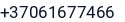 Telefonas